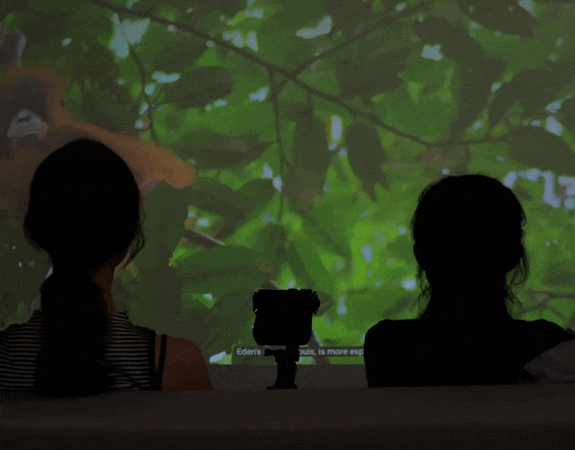Projector mode-min